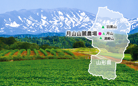 月山山麓農場　所在地