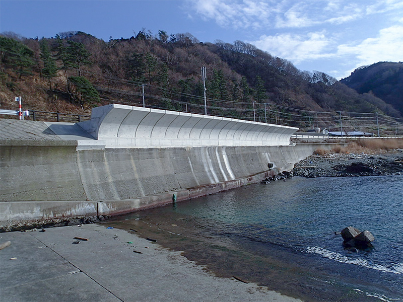 小岩川・大岩川地区防災工事(H24)
