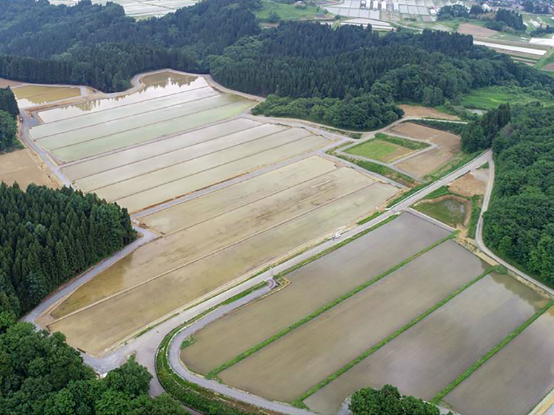 平成２８年度たらのきだい地区経営体育成基盤整備事業第４工区工事（H30年）