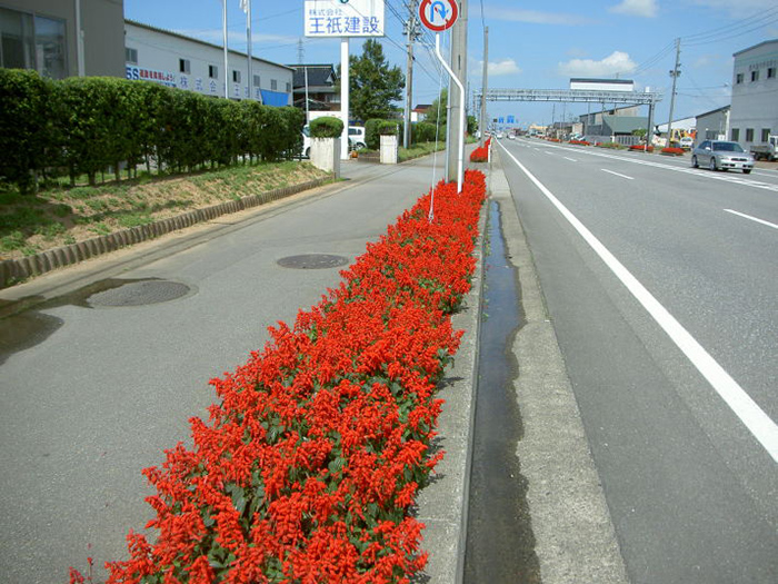 国道１１２号沿い美化活動