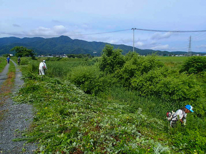 山形県ふるさとの川アダプト事業